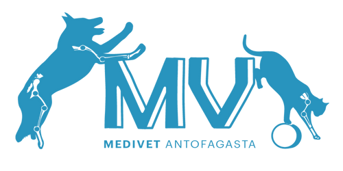 MEDIVET