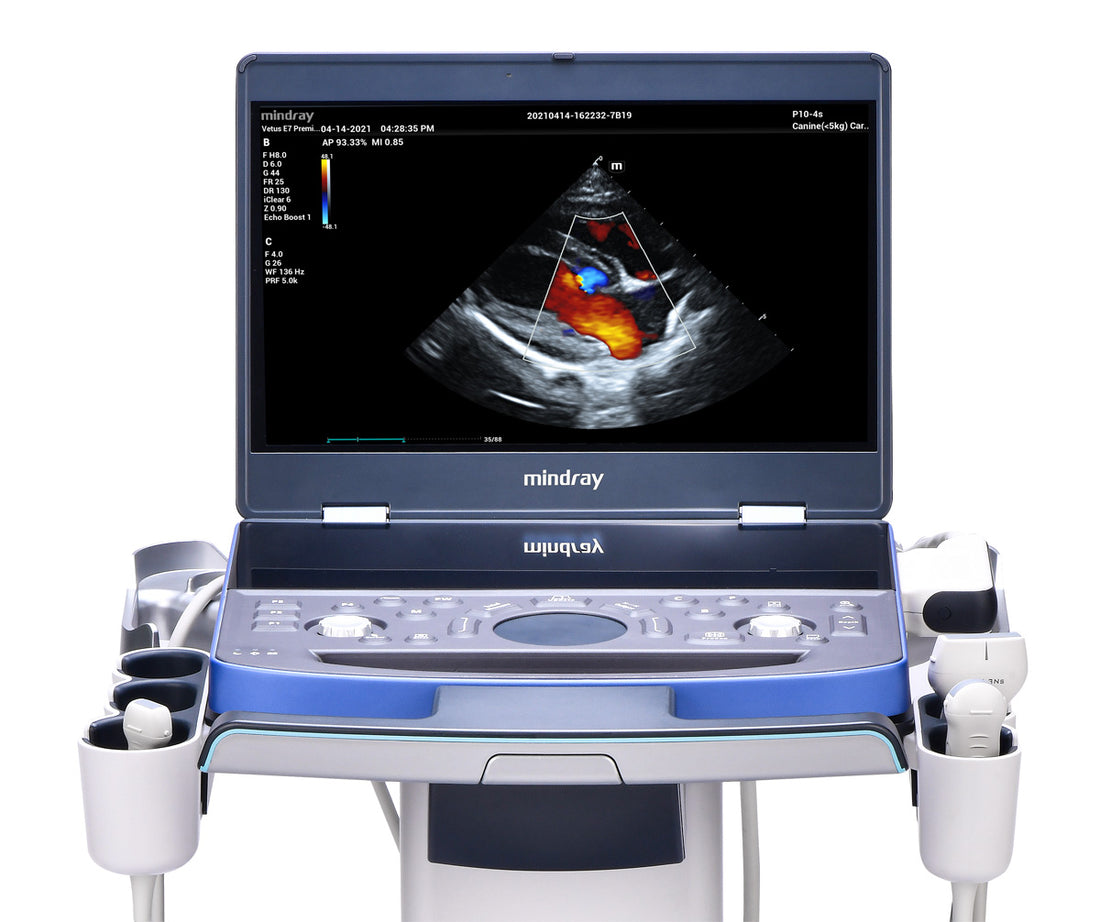 Cardiología de última generación en MEDIVET