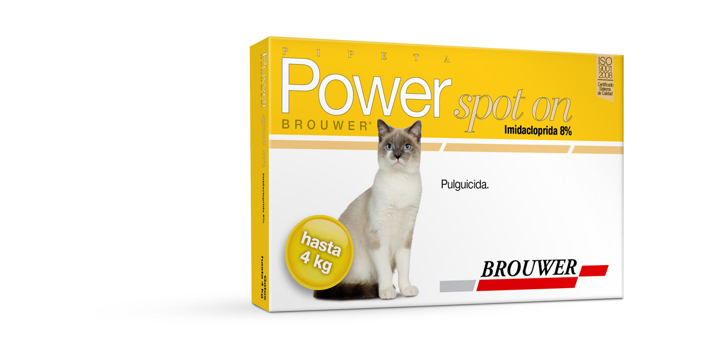 Power Spot (hasta 4kgs)